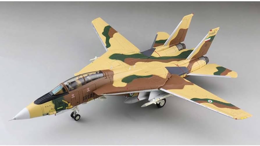 Amazon.com: Hobby Master Grumman F-14A Tomcat 3-6020, 82nd